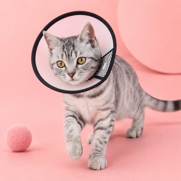 Elizabethan Collar Transparent Breathable Cone with Soft Edges Anti Lick Protective Cover for Cats Puppies Medium Dogs E-Collar