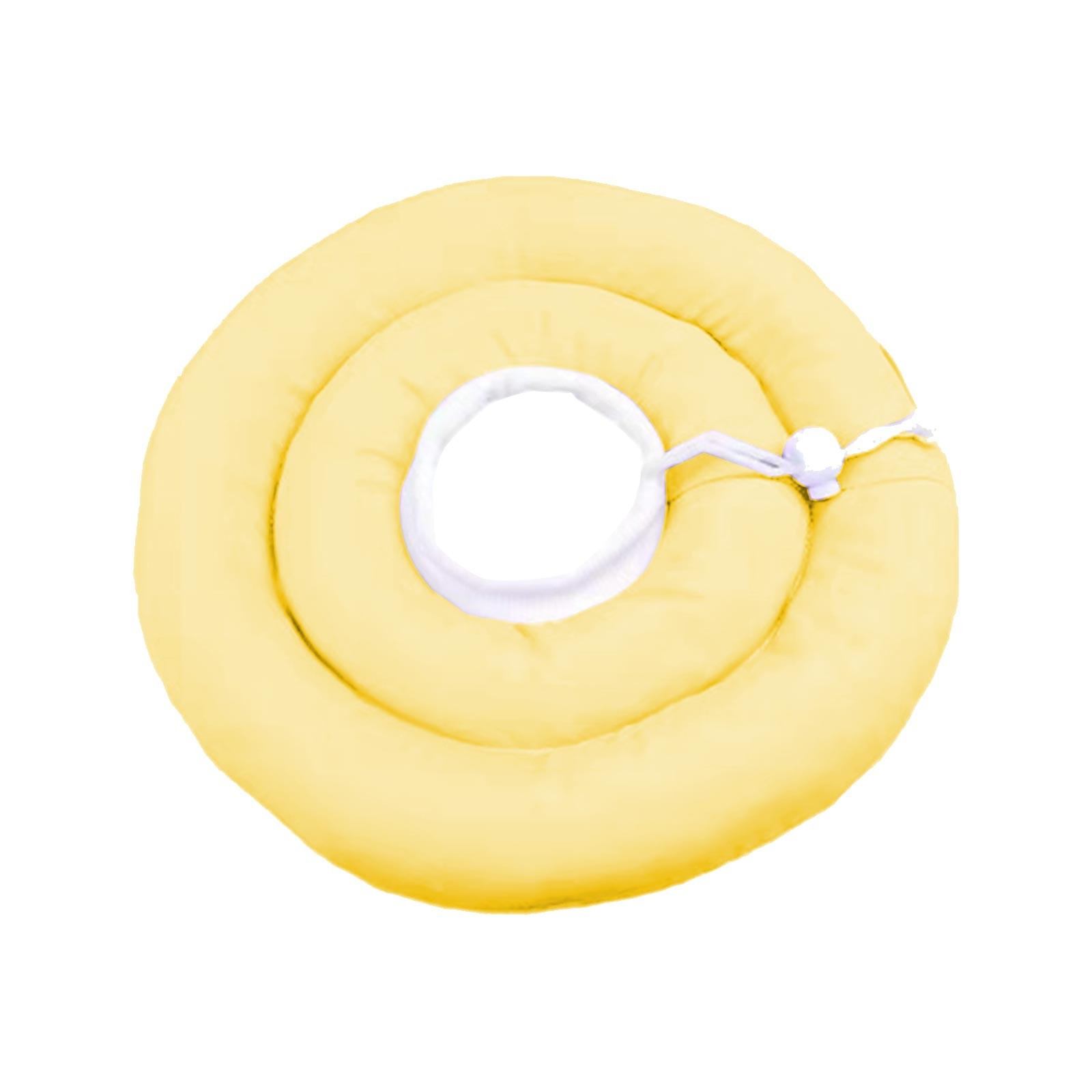 Elizabethnew Book 2022 Elizabethbooks Elizabethbible Study Books