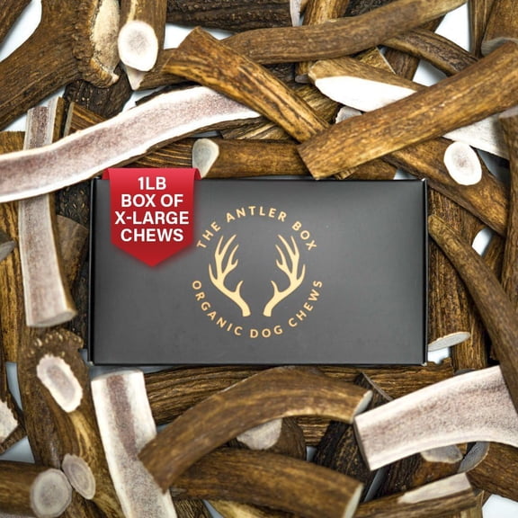 Elk Antler Dog Chews X-Large Split Only 2 Pieces