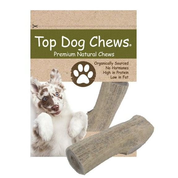 Elk Antler Dog Treat- Medium - 1 Piece