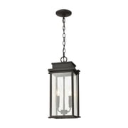 Elk Home 10-Inch Wide Braddock Hanging, Architectural Bronze
