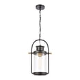 thumbnail image 1 of Elk Home 12-Inch Wide Wexford Hanging, Transitional, Matte Black, 1 of 5
