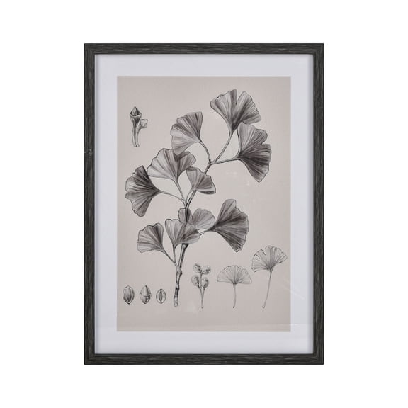 Elk Home 18-Inch Wide Ginkgo Botanic Wall Art, Transitional, Ivory