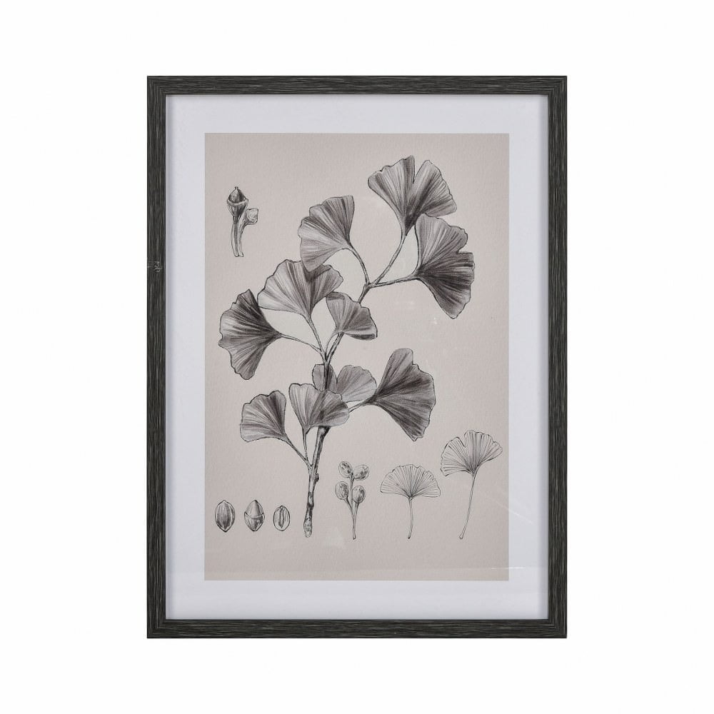 Ginkgo Botanic Black Frame Charcoal Study Wall Art