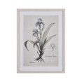 thumbnail image 1 of Elk Home 18-Inch Wide Iris Botanic Wall Art, Transitional, Cream, 1 of 3