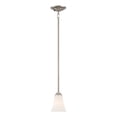 thumbnail image 1 of Elk Home 5-Inch Wide Treme Mini Pendant, Traditional, Brushed Nickel, 1 of 2