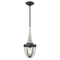 thumbnail image 1 of Elk Home 7-Inch Wide Sturgis Pendant, Transitional, Silvered Graphite, 1 of 5