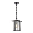 thumbnail image 1 of Elk Home Radnor 8-inch Wide 1-Light Outdoor Pendant in Matte Black, 1 of 6