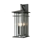 Elk Home 9-Inch Wide Outdoor Oak Park Wall Sconce, Matte Black