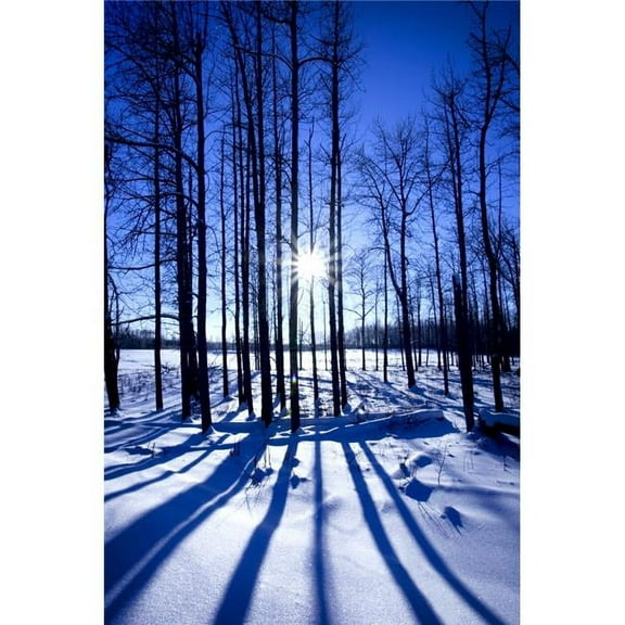 Elk Island National Park Alberta Canada Poster Print by Richard Wear, 22 x 34 - Large