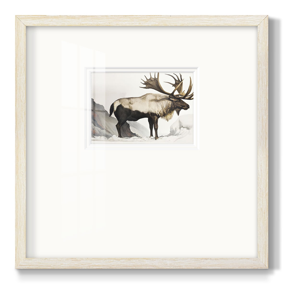 Elk MounrtainPremium Framed Print