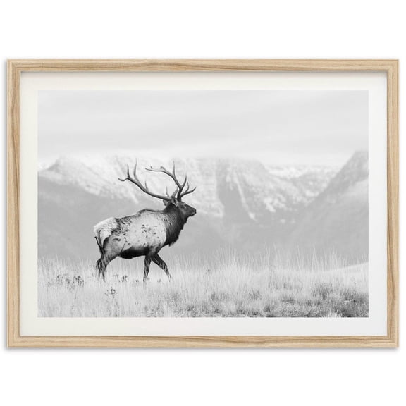 Elk Mountain Wildlife Photography Wall Art Home Decor