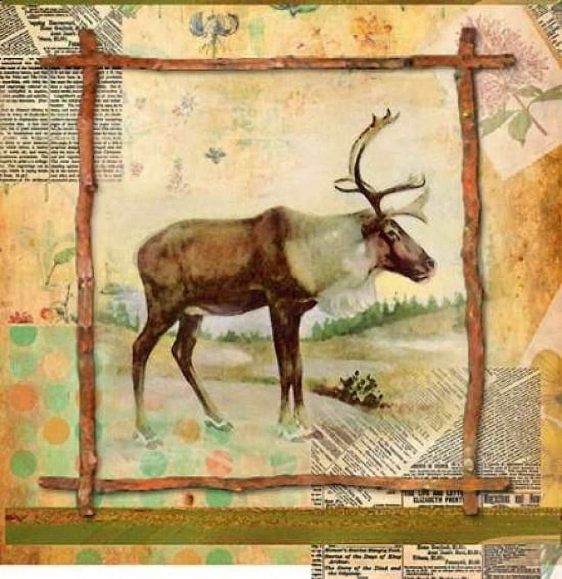 Elk Nature Canvas Art - Walter Robertson (24 x 24)