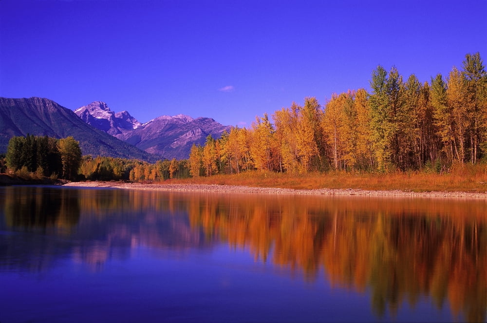 Elk River In Autumn With Three Sisters Mountain Range In The Background Fernie British Columbia Canada Canvas Art - Carson Ganci Design Pics (34 x 22)