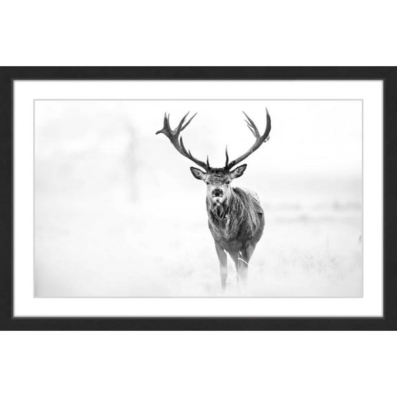 Elk Stare Framed Painting Print