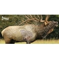 thumbnail image 1 of Elk Target - Full Size Elk Archery & Rifle Target (Life Size), 1 of 5