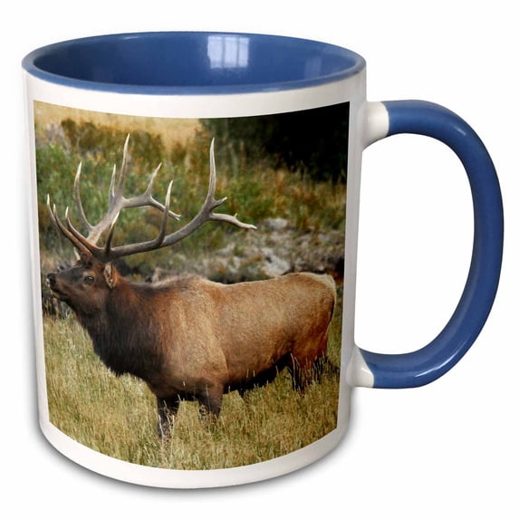 3drose, Elk Wildlife, Rocky Mountains, Colorado, Usa - Us06 Mhe0002 - Michel Hersen, 11oz Two-tone Blue Mug