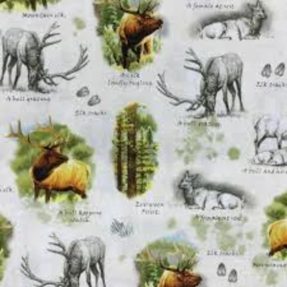 Elk Words Cotton Fabric