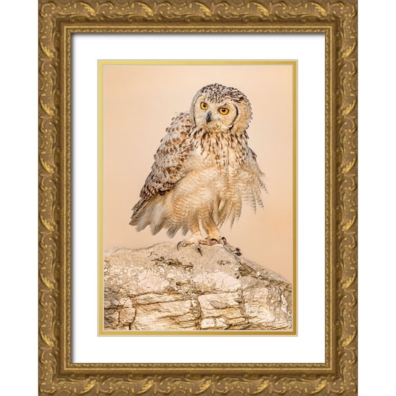 Elkahlawi, Ahmed 18x24 Gold Ornate Wood Framed with Double Matting Museum Art Print Titled - New Hair Cut.!