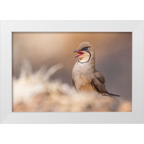 Elkahlawi, Ahmed 32x23 White Modern Wood Framed Museum Art Print Titled - Red Lips.!