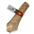 thumbnail image 1 of Elkhorn Premium Chews Large whole (7-10” long) elk antler chew for 35-65 lb dogs (1 pack) all-natural premium-grade antler bone, sourced in the USA, 1 of 6