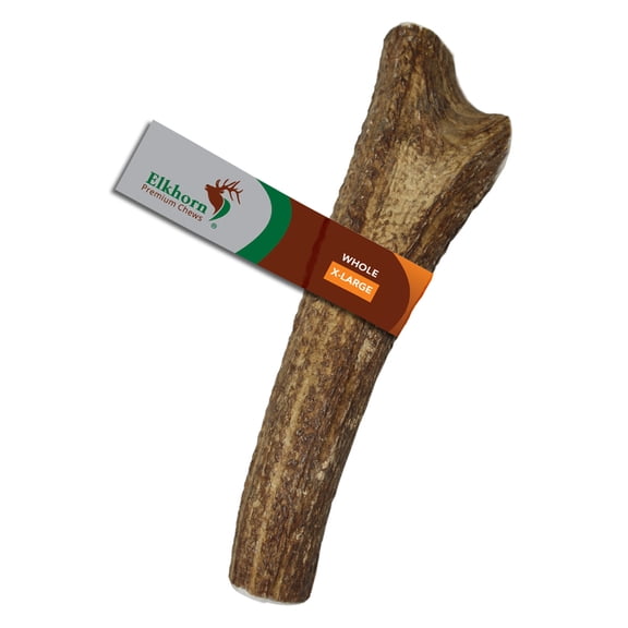 Elkhorn Premium Chews X Large whole (8-10.5” long) elk antler chew for 50-90 lb dogs (1 pack) all-natural premium-grade antler bone, sourced in USA