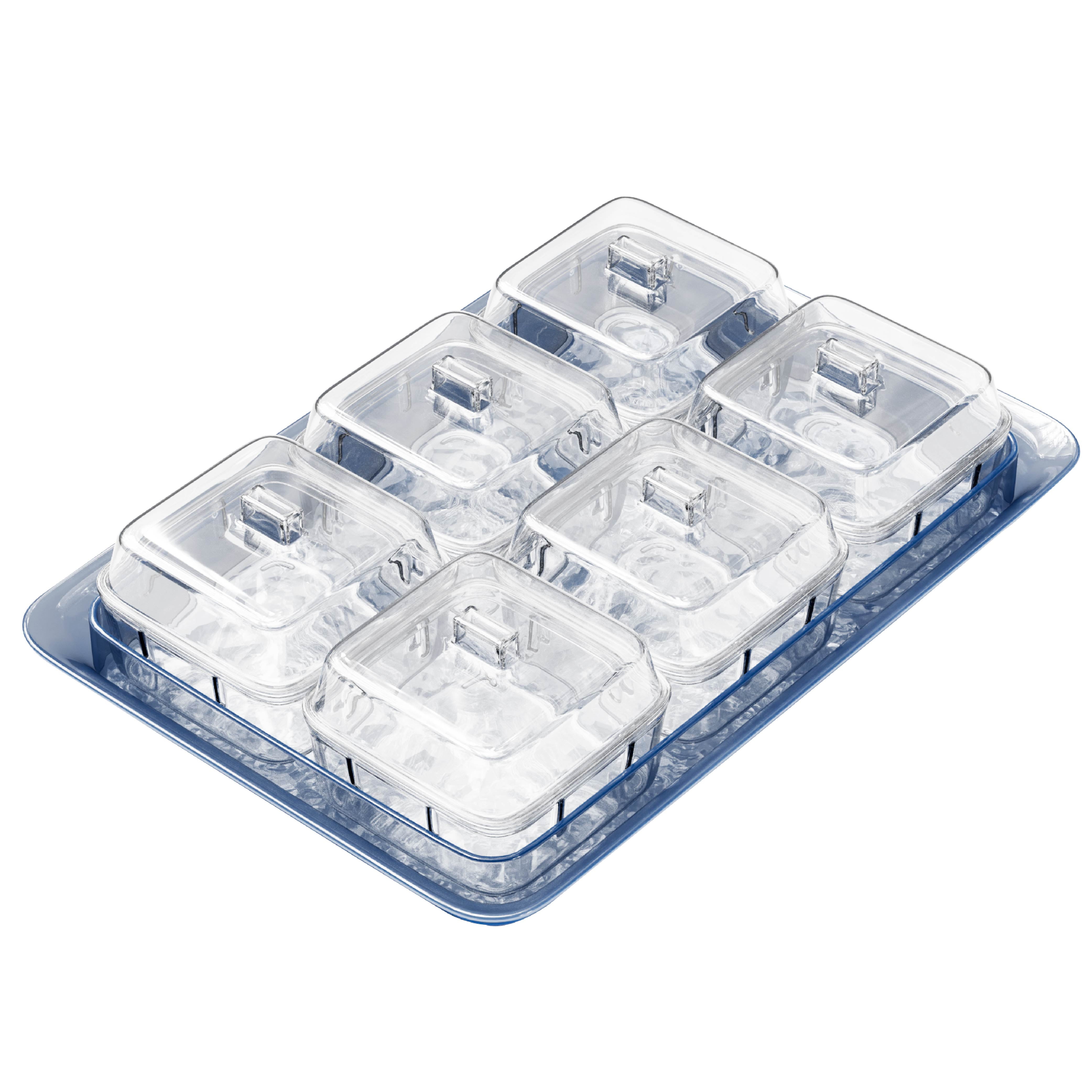 Indigo Blue Acrylic Tray with Clear Lidded Serving Bowls