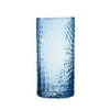 Elle Decor Bistro Croc Glass Highball Glass (Set of 4)