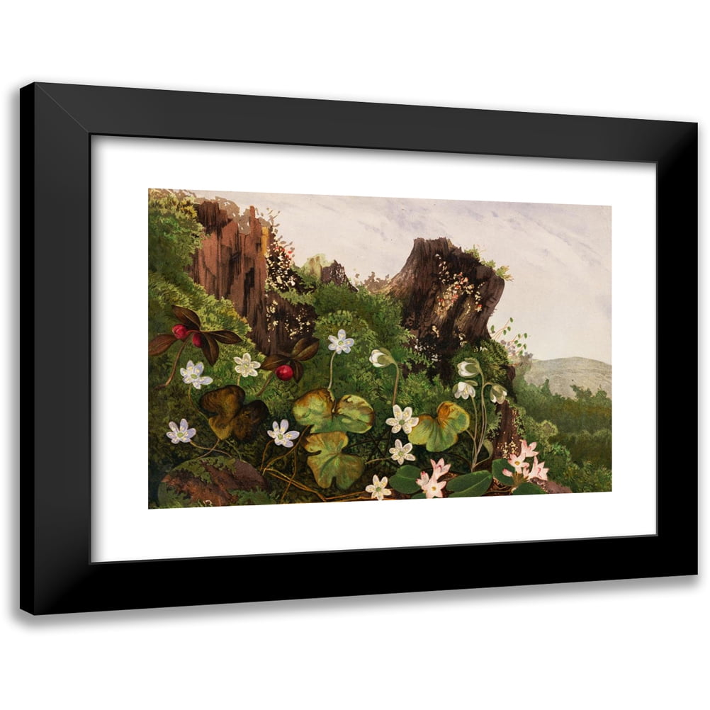Ellen Robbins 24x18 Black Modern Framed Museum Art Print Titled - Wild ...