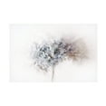 thumbnail image 1 of Ellen Van Deelen 'Hydrangea' Canvas Art, 1 of 3