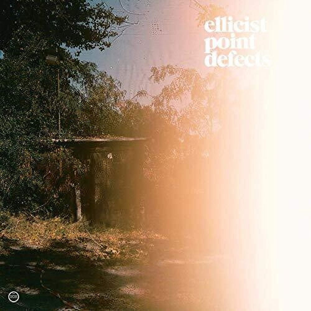 Ellicist - Point Defects - Music & Performance - Vinyl
