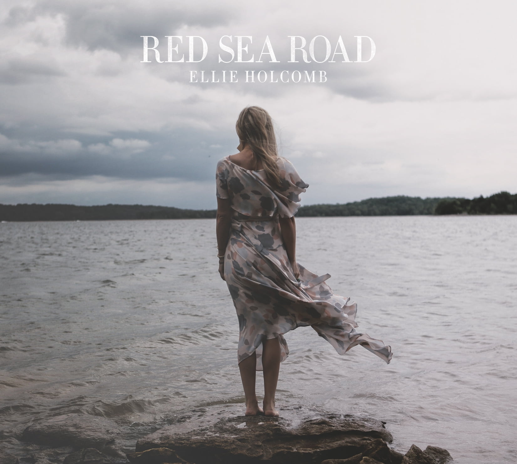 Ellie Holcomb - Red Sea Road - Music & Performance - Vinyl