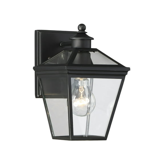 Ellijay 1-Light Outdoor Wall Lantern in Black