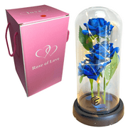 Ellington Gifts Artificial Rose Flowers Gift in Glass Dome with LED - Red Rose | Valentine's Day Mother's Day Christmas Anniversary Birthday Flowers Gifts for Mom Wife Girlfriend Women Her