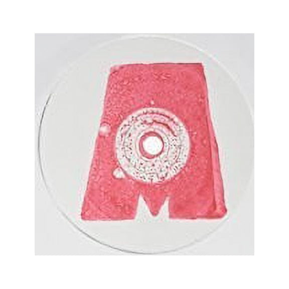 Elliott Power - Murmur - Vinyl