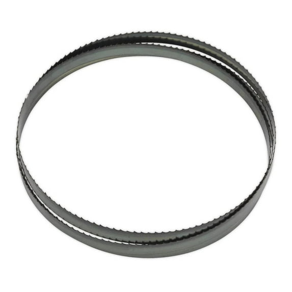 Ellis 162 X 1 X 0.035 Inch 4-6 Tpi Bi-Metal Blade