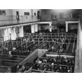 thumbnail image 1 of Ellis Island: Immigrants./Nimmigrants Waiting To Be Processed In The Reception Hall At Ellis Island, C1900. Poster Print by  (18 x 24), 1 of 1