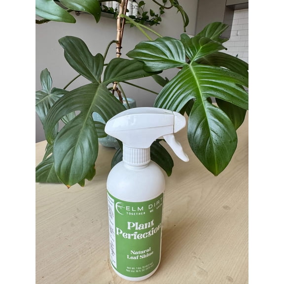 Elm Dirt Plant Perfection, 16 oz Sprayer