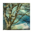 thumbnail image 1 of Elm Tree Expressionism - Canvas, 1 of 10