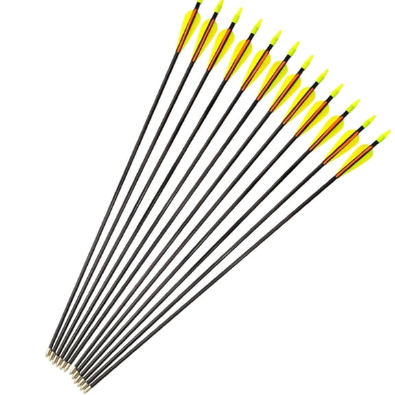 Elong Outdoor Archery Arrows 24" Fiberglass Targeting Arrows, 12 Piece Set (Adult, Beginner)