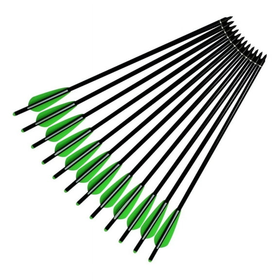Elong Outdoor New Fiberglass Archery Arrows, 12 Pieces
