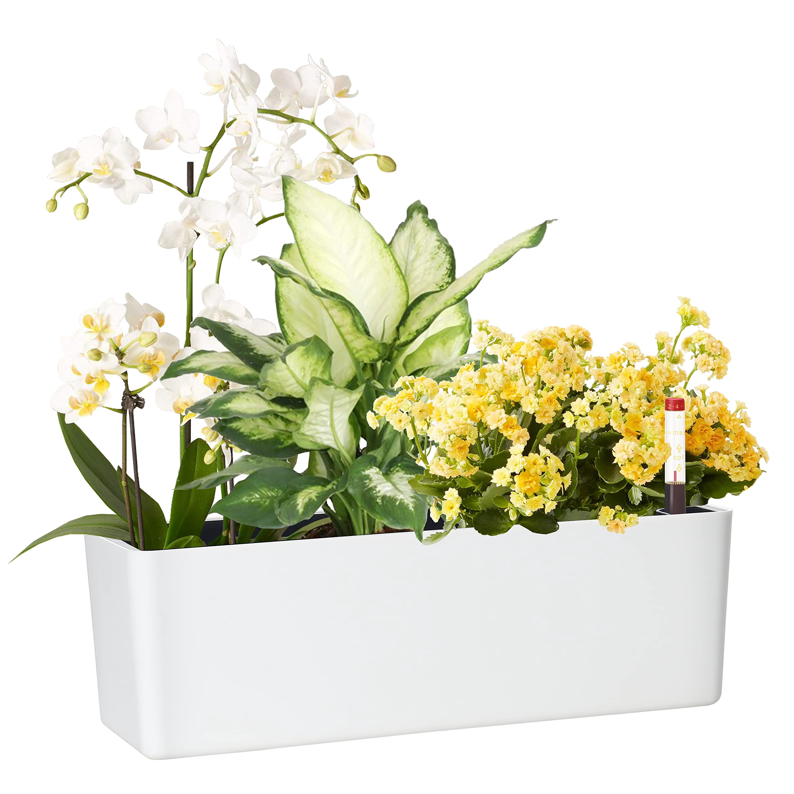 Elongated Self Watering Planter Pot Window Box 5.5 x 16 Inch Indoor Decorative Planter for House Plants Flowers Herbs White 1-Pack