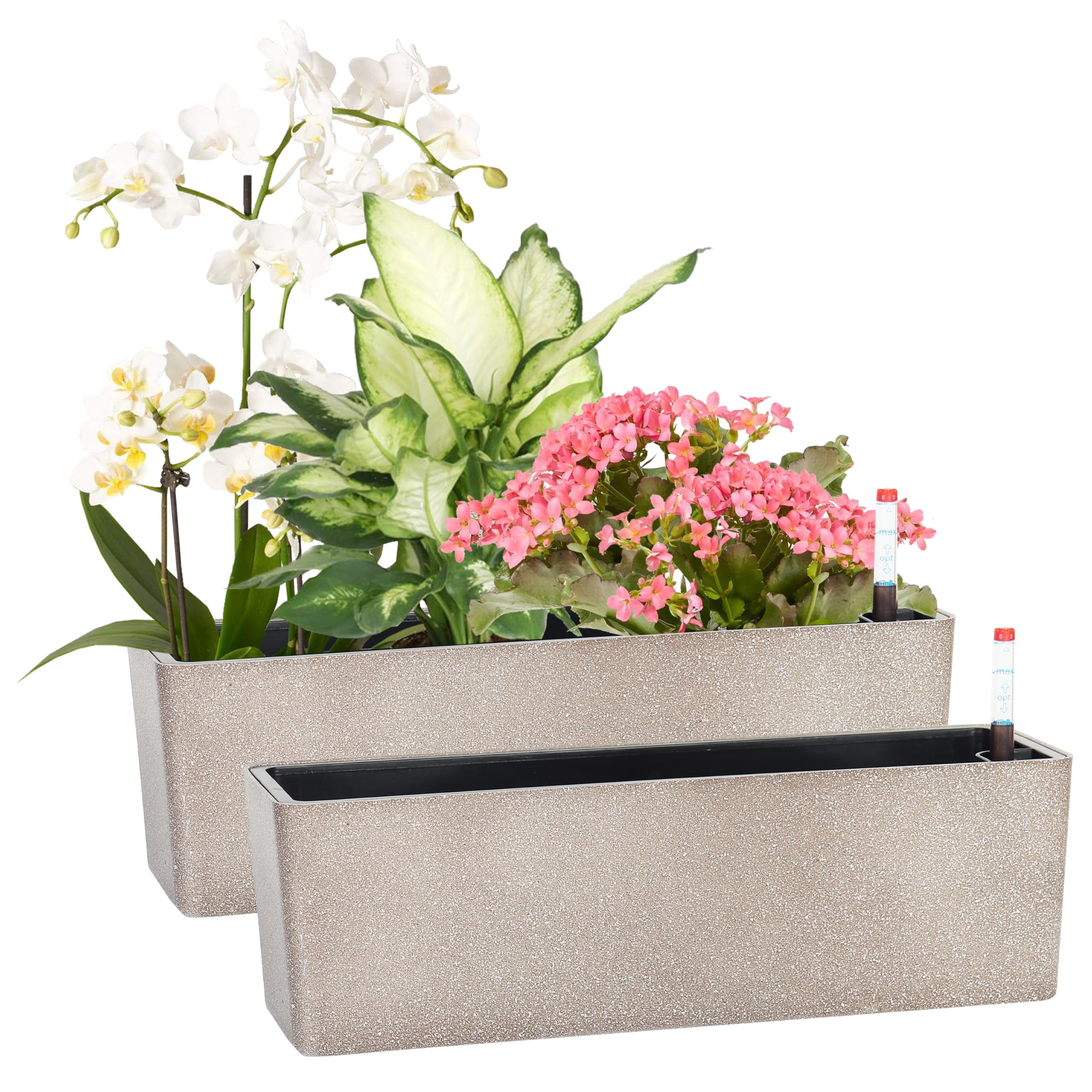 Elongated Self Watering Planter Pot Window Box 5.5 x 16 Inch Indoor Decorative Planter for House Plants Flowers Herbs White 1-Pack