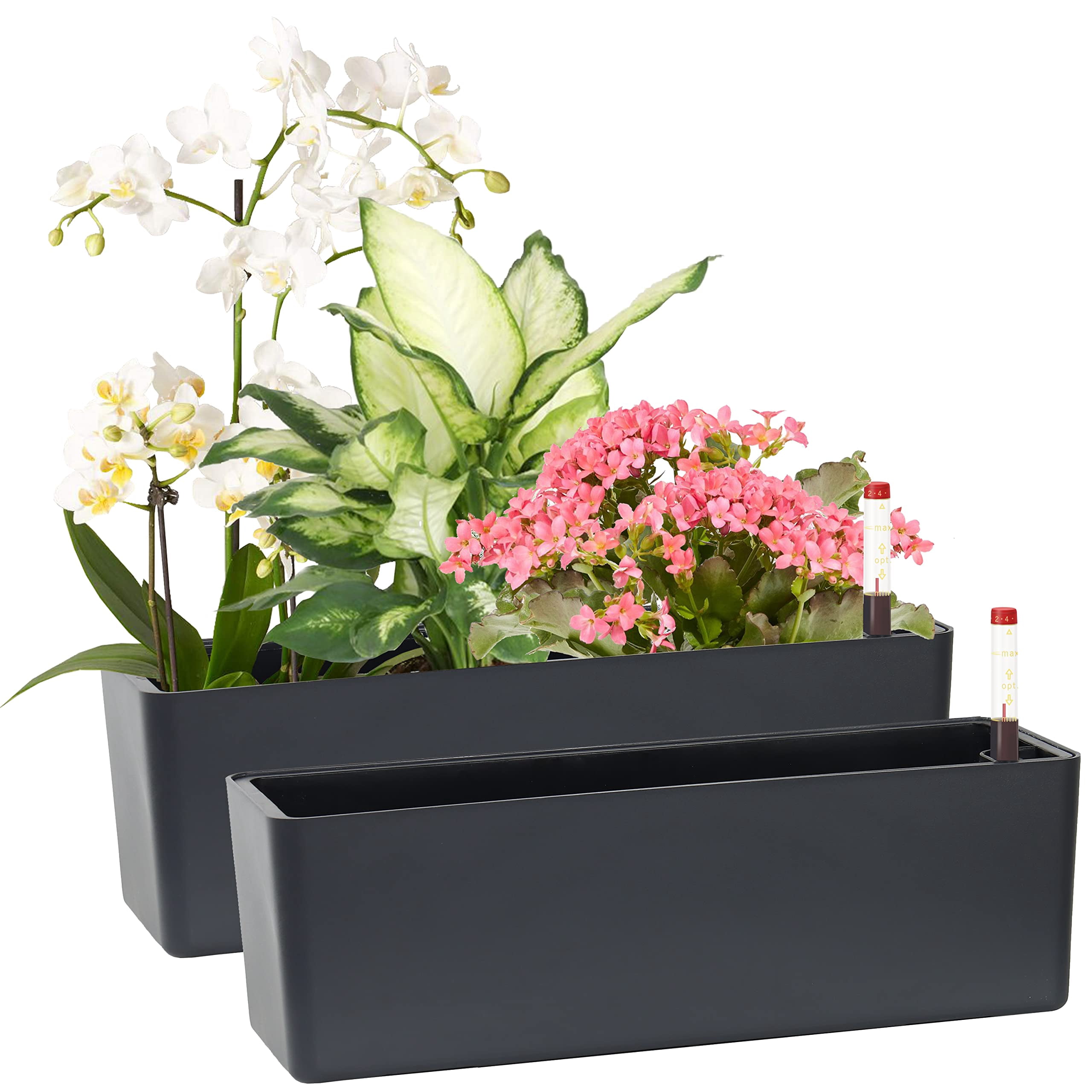 Elongated Self Watering Planter Pot Window Box 5.5 x 16 Inch Indoor Decorative Planter for House Plants Flowers Herbs White 1-Pack