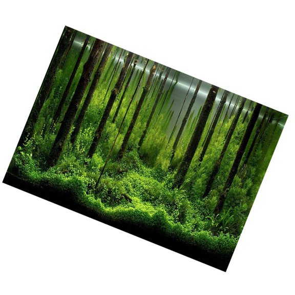 Elowen Fish Decoration Poster PVC Waterproof Underwater Forest Tank Background Poster Adhesive Colorful Decoration Paper