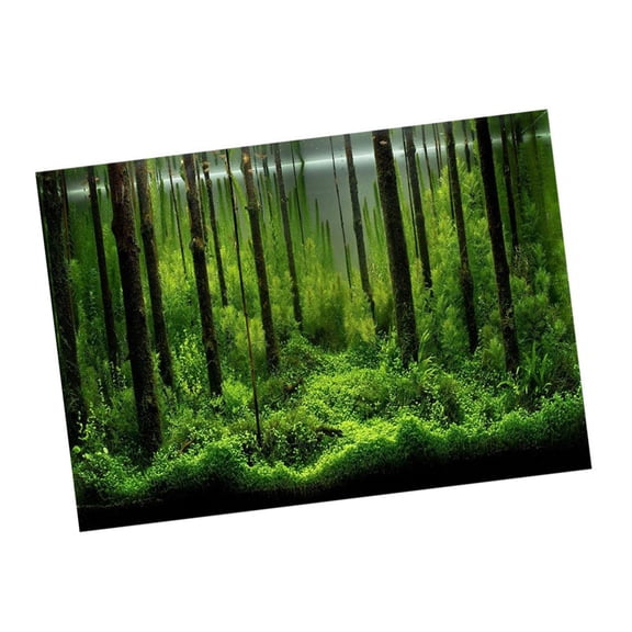Elowen Fish Decoration Poster PVC Waterproof Underwater Forest Tank Background Poster Adhesive Colorful Decoration Paper