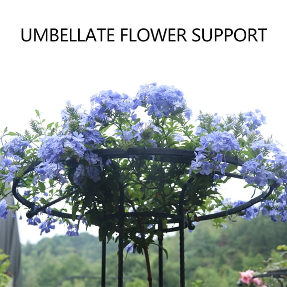 Elowen Garden Trellis for Climbing Plants Climbing Garden Trellis for Climbing Plants Mushroom Top Trellis for Potted Plants Vines Roses Clematis Vegetables 59.1 Inch Total Height