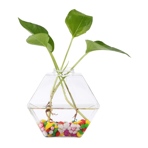 Elowen Hanging Glass VaseHanging Glass Vase Wall Hydroponic Aquarium Container Home Decorative