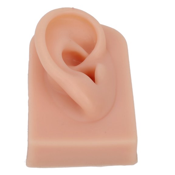 Elowen Human Ear Model Silicone Human Ear Model, prosthetic Ear Model Soft Right Ear for Ear Piercing Training for Headphones Display Dark Complexion