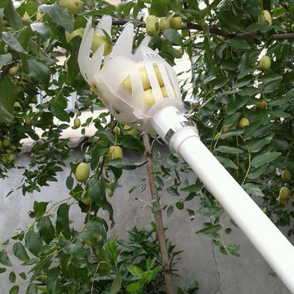Elowen Plastic Fruit Picker Fruit Picker, Fruit Picking Basket Labor Saving for Garden